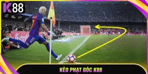 keo-phat-goc-meo-bat-thang-dam-nhu-cao-thu