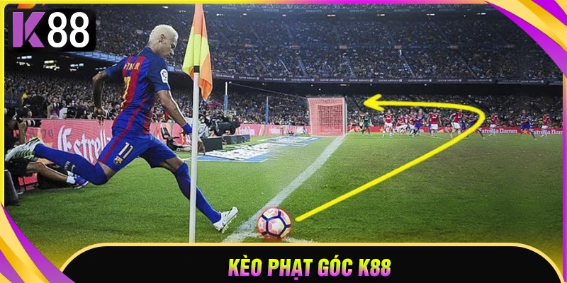 keo-phat-goc-meo-bat-thang-dam-nhu-cao-thu